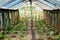 Cultivation of vegetables in a wooden greenhouse