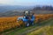 Cultivation on vineyards of Langhe Roero Monferrato, UNESCO World Heritage in Piedmont, Italy