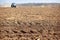 cultivator raises great dust with ploughed soil on foreground