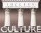 Culture as a foundation of success - symbolized by pillars of success supported by Culture to show that it is essential for