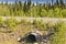 Culvert under Alaska Highway