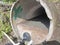culverts to collect clean water sources