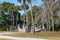 Cumberland Island, Georgia, USA: The grounds of Dungeness, a ruined mansion