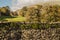 Cumbria, Lake District, England - a stone fence.