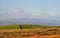 Cumbrian mountains from the Bowland moors