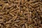 Cumin seed