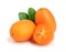 Cumquat or kumquat with leaf isolated on white background close up