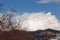 Cumulos, nimbus, clouds with angeles crest mountains, buildings, and sycamore tree