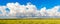 Cumulus clouds above a yellow flowering colza field