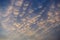 Cumulus clouds aka puffy clouds aka cotton-like clouds aka fluffy clouds