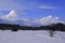 Cumulus clouds over the Ural winter forest