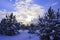 Cumulus clouds over the Ural winter forest