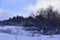 Cumulus clouds over the Ural winter forest