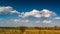 Cumulus clouds running across brilliant blue sky