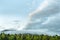 Cumulus over strip of hills on horizon. Upward air flows from heating, formation of atmospheric phenomena