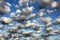 Cumulus white puffy fluffy clouds against deep blue sky
