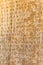Cuneiform letters Persepolis