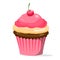 Cup cake.Vector illustration of cup cake with cherry.