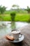 Cup of cappuccino with cookie on background with green leaves and pond. Beautiful tropical greenery, hipster and rustic vibes. Cop