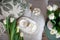 Cup with cappuccino, spring flowers tulips, morning concept