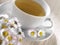 Cup of chamomile with flowers