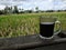 a cup of coffee in the afternoon in the rice fields