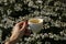 Cup of coffee against flowering tree