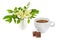 Cup of coffee and bouquet of lilies of the valley in a vase isolated on white background. Collage