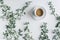 Cup of coffee in branches with green leaves on a white table. Cofee art. Flat lay, top view.