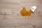 A cup of coffee fell on laminate, coffee spilled on floor. Focus on the puddle. Flat lay. Top view