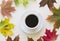 Cup of coffee, framed with autumn leaves on white background. Flat lay. Top view