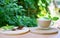 Cup of Coffee on nature background. Hot drink in the morning. Breakfast time. Have a rest with Coffee.