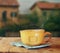 Cup of coffee on old wooden table in front of romantic Provence rural landscape. retro filtered image