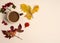 A Cup of coffee, physalis, oak and maple leaves, hawthorn berries and barberry on a beige background.