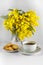 Cup of coffee, plate with toasts and vase with branches of mimosa on a white background