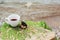 Cup of coffee on the sea water and stone background. Sea freshness morning concept