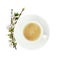 Cup of coffee and soucer with spring flowers and twigs isolated on white background. Top view. Flat lay