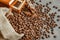 Cup of coffee with steam, coffee beans, chocolate pieces, cinnamon sticks, white and brown sugar, and scoop on burlap background.