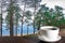 Cup of coffee on the table with view of coniferous forest and blue sea