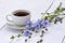 Cup of coffee tea chicory drink with chicory flower