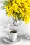 Cup of coffee and vase with branches of mimosa on a white background