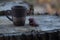 cup of coffee on a wooden table in the sun