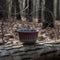 Cup In Dark Silver And Maroon Sitting On Edge Of Woods