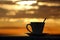 Cup Of Espresso Silhouette With Brazilian Coffee In Sunlight And