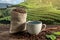 Cup of fresh coffee and roasted beans in a bag on the table against the backdrop of a landscape of coffee plantations