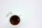 Cup of herbal oregano tea with dry marjoram flowers on white table background with copy space. Top view.