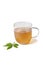 Cup of herbal tea with jiaogulan herb