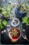 Cup of herbal tea with tea tools and various fresh herbs on dark aged background, top view.