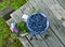 Cup with honeyberry and wildflowers on planks