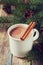 Cup of hot cocoa or hot chocolate on wooden background with fir tree and cinnamon sticks, traditional beverage for winter time